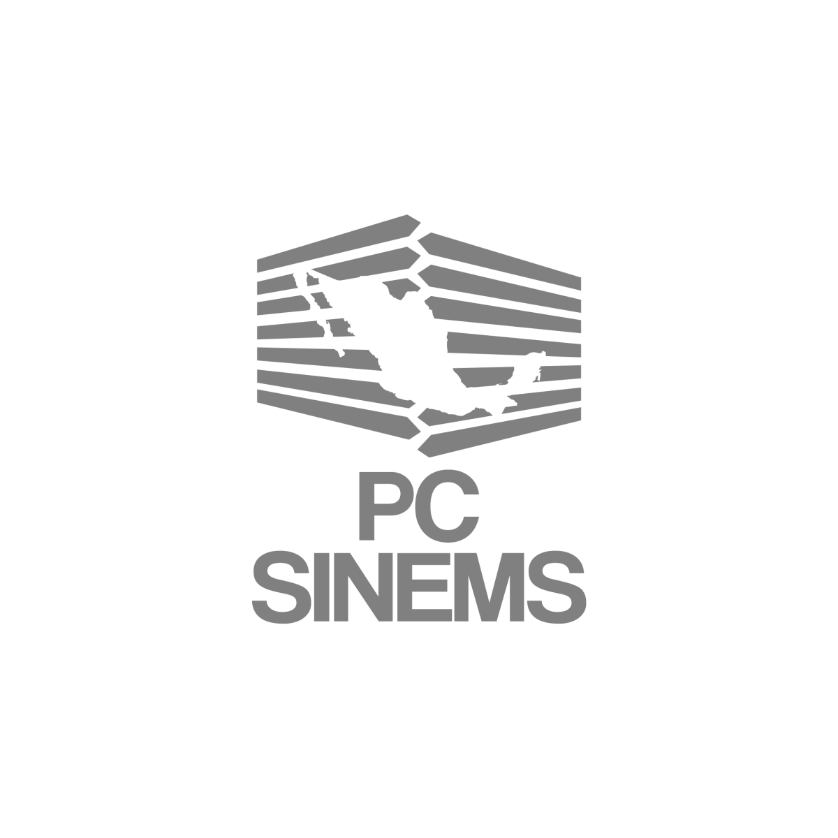 PC-SiNEMS